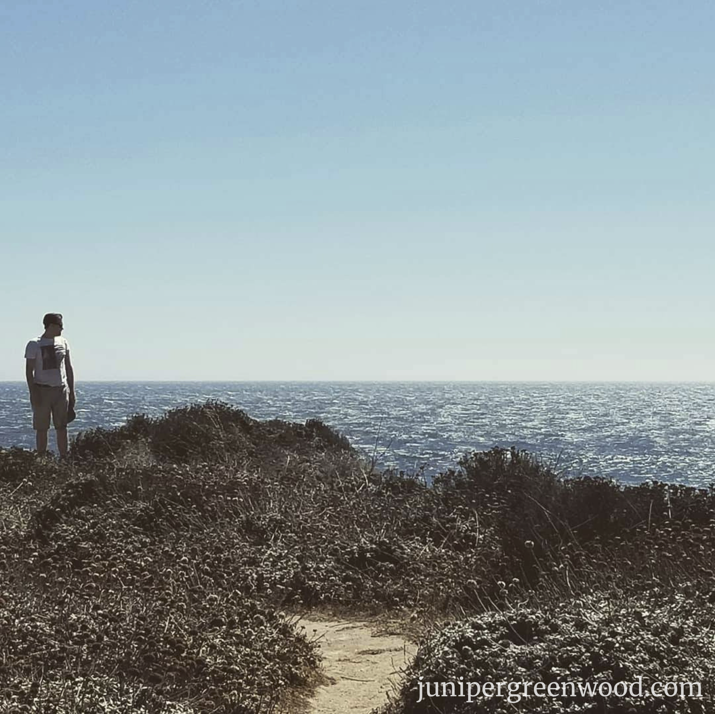 A man stands on a cliff, looking out into the open ocean. In the foreground, a dirt path weaves its way through dry grass.